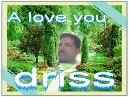 A love you driss